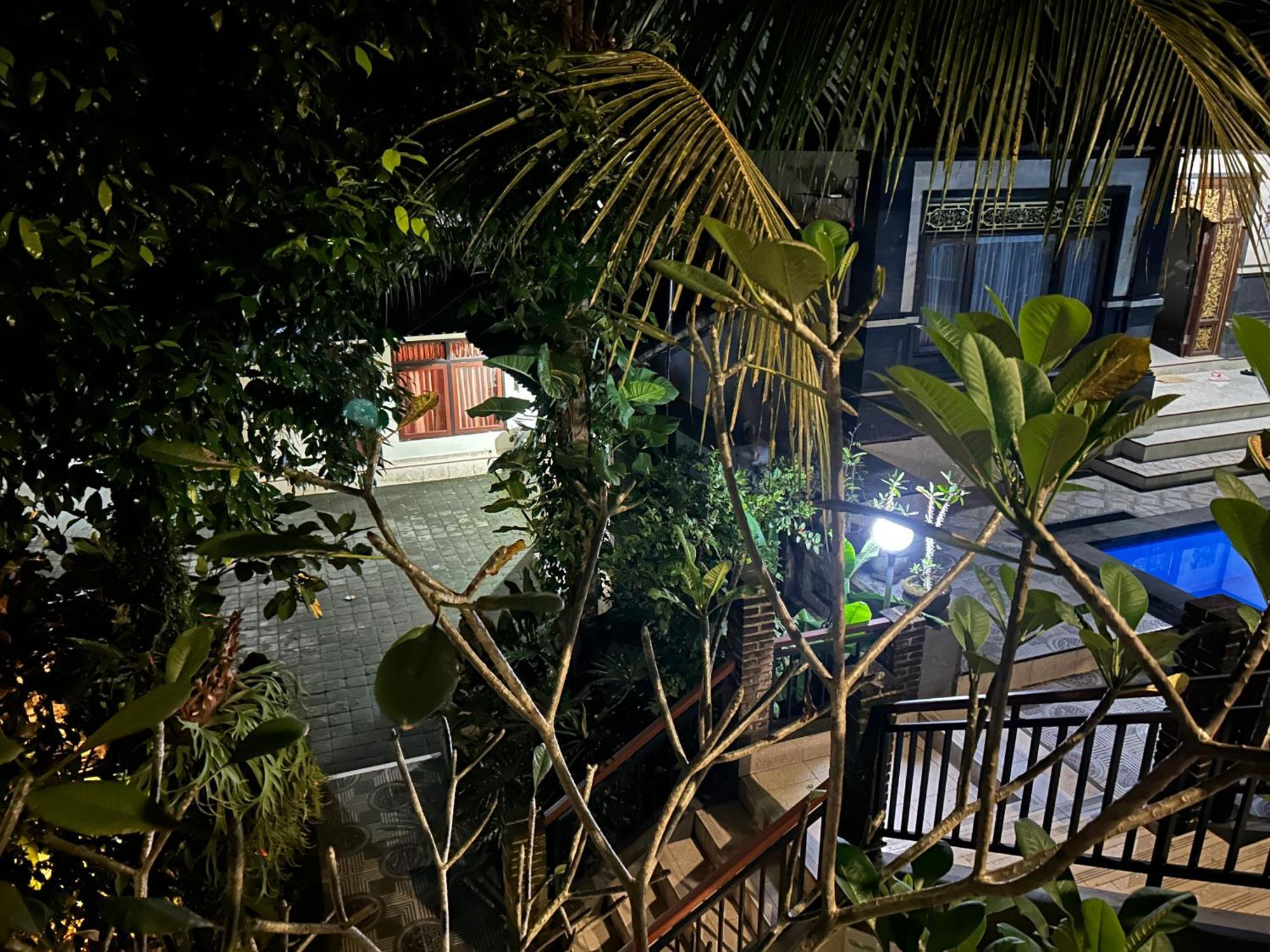 Balimas Guest House Убуд Экстерьер фото